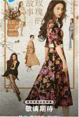 家庭生活剧集候鸟车站的档案封面